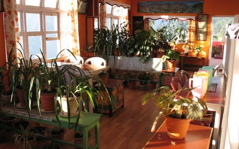 Hotel Pandim, Gangtok 4